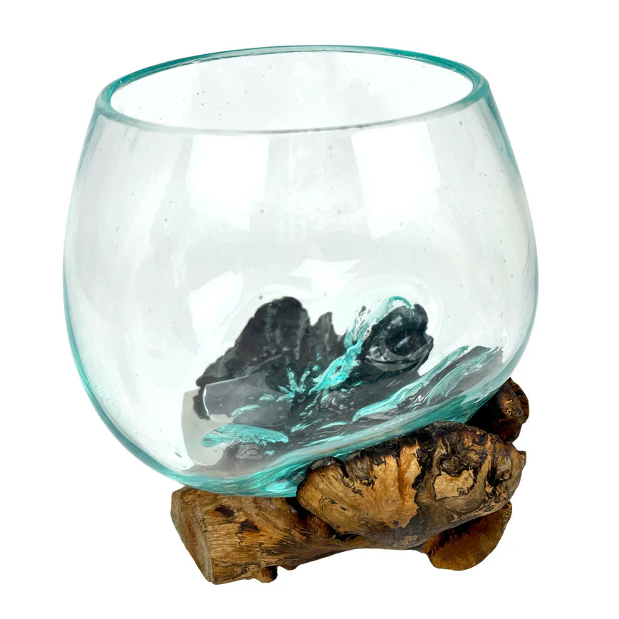 Melted Glass on Gamal Root Wood Decorative Bowl, Vase, and Terrarium Planter - Approximately 5 Inches High - Nature-Inspired Artistry for Home and Garden