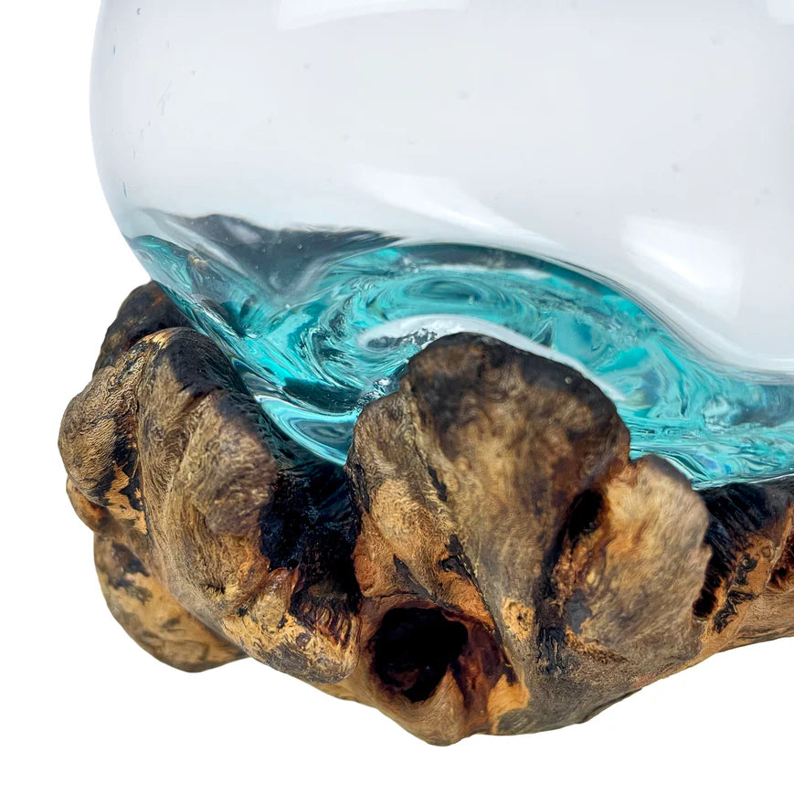 Melted Glass on Gamal Root Wood Decorative Bowl, Vase, and Terrarium Planter - Approximately 5 Inches High - Nature-Inspired Artistry for Home and Garden