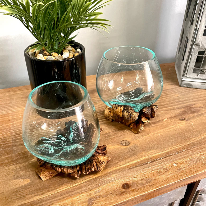 Melted Glass on Gamal Root Wood Decorative Bowl, Vase, and Terrarium Planter - Approximately 5 Inches High - Nature-Inspired Artistry for Home and Garden