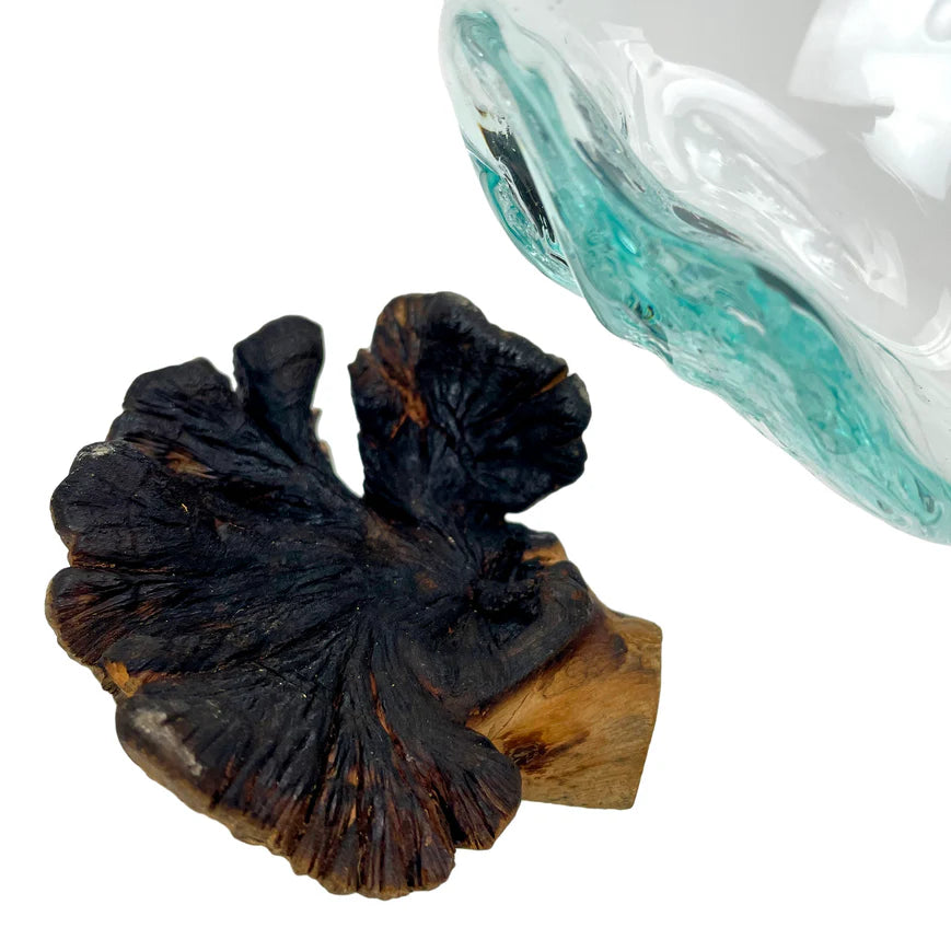 Melted Glass on Gamal Root Wood Decorative Bowl, Vase, and Terrarium Planter - Approximately 5 Inches High - Nature-Inspired Artistry for Home and Garden